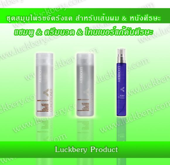 ชุดสมุนไพร ป้องกันรังแค และคันศีรษะ ลัคเบรี่ สูตรพิเศษ 