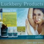 Collagen +C คอลลาเจนสกัดจากปลาทะเล กุญแจสู่ความอ่อนเยาว์ ไร้ริ้วรอย ตลอดไป
