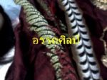 หัวอัปสราวรมัน