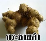จำหน่าย กระชายดำ ข้าวเหนียวดำ จากชาวเขาเผ่าม้งในเขตอำเภอเขาค้อ จังหวัดเพชรบูรณ์