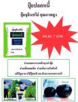 ขายปุ๋ยปลดหนี้ 7 บาทต่อ 1 กก. ช่วยปลดหนี้เกษตรกร