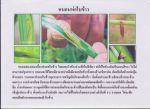 ขายชีวินทรีย์กำจัดแมลงหวี่ขาว เพลี้ยอ่อน เพลี้ยแป้ง หนอนห่อใบข้าว ไรแดง