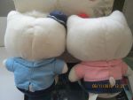 Kitty Manager,s Mc