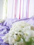 บอลดอกไม้ / flowerball