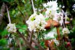 บอลดอกไม้ / flowerball