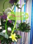 Flower Stand / แสตนดอกไม้