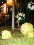 บอลดอกไม้ / flowerball
