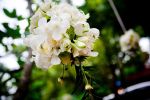 บอลดอกไม้ / flowerball