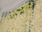ซุ้มดอกไม้,ซุ้มงานแต่งงาน,backdrop