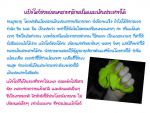 ประโยชน์ของแป้งโดว์