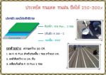 น้ำยาหล่อเย็น จารบีฟู้ดเกรด   สเปรย์โฟม  รับทำงานตีเส้นโรงงาน  ตีเส้นลานจอดรถ  ตีเส้นรอบเครื่องจักร 