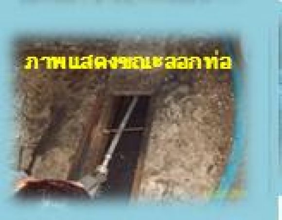 0814927165 ดูดส้วม ลอกท่อ สูบเลน ลาดพร้าว รามอินทรา ดินแดง 0814927165 ดูดส้วม ลอกท่อ สูบเลน ลาดพร้าว รามอินทรา ดินแดง