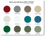 ขายสีทาสนามเทนนิส(SEE-COURT)สีทาพื้นสนามกีฬาทุกชนิดในราคาส่งมานานหลายสิบปี