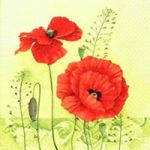 ลายกระดาษเดคูพาจ C0001 - C0030