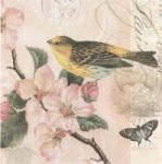 ลายกระดาษเดคูพาจ C0001 - C0030