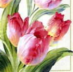 ลายกระดาษเดคูพาจ C0031 - C0060