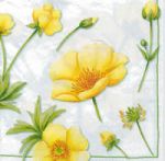 ลายกระดาษเดคูพาจ C0031 - C0060