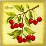 ลายกระดาษเดคูพาจ C0151 - C0180