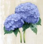 ลายกระดาษเดคูพาจ C0091 - C0120