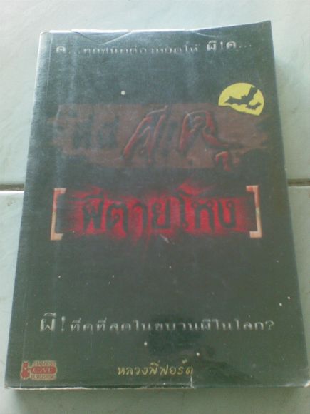 เรื่อง ผีดุ ผีตายโหง