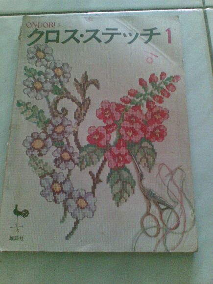 หนังสือการปักคอสติส