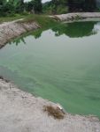 Ultrasonic Algae Control Unit