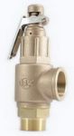 เซฟตี้วาล์ว (โปโล): มีด้าม/ไม่มีด้าม (Safety Valve)