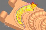 คลิกดูรายละเอียด: งานสแกนแม่พิมพ์ หรือ สแกน3D MOLD และ reverse Engineering Train