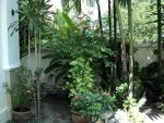 Baansdd.com รหัส H3-0153 ขายบ้านเดี่ยว 2 ชั้น หมุ่บ้านกัลปพฤกษ์ บางบ่อ เนื้อที่ 50 ตร.ว. ราคา 2.7 ล้