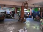 Baansdd.com รหัส H1-0050 ขายบ้านเดี่ยว 2 ชั้น ซอยวังปลา ถนนสุขุมวิทสายเก่า เนื้อที่ 51 ตร.ว. ราคา 1.