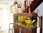 Baansdd.com รหัส H3-0162 ขายบ้านเดี่ยว 2 ชั้น หมู่บ้านบุรีรมย์ เทพารักษ์ เนื้อที่ 56 ตร.ว. ราคา 3.7 