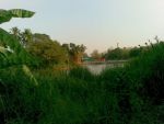 ขายที่ดินติดแม่น้ำ จ.สุพรรณ อ.ศรีประจันต์ (เจ้าของขายเอง)