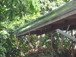 รางน้ำฝนสังกะสี