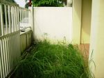 homedd.co.thรหัส T3-0585 ขายทาวน์เฮาส์ 2 ชั้น หมู่บ้านภัณฑิรา คลอง1 เนื้อที่ 18 ตร.ว.ราคา 1.489 ล้าน