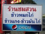 ข้าวหมกไก่ ชมสวน วงแหวนพระราม 9