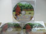 ผลิต CD,DVD,VCD ธรรมะ บทสวดมนต์ สำหรับท่านที่สนใจทำแจกเป็นธรรมทาน