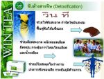 ชา วิน ที 4 ซองลดน้ำหนักได้ 1 กก. ลดหน้าท้องได้ 1 นิ้ว จริง