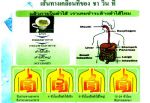 ชา วิน ที 4 ซองลดน้ำหนักได้ 1 กก. ลดหน้าท้องได้ 1 นิ้ว จริง