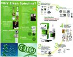 สาหร่าย เอลเคนสไปรูไลนา(Elken Spirulina)