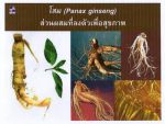 กาแฟเอลคาเฟ่ ตองกัต อาลี (Elcafe Tongkat Ali Coffee) เพิ่มสมรรถภาพ