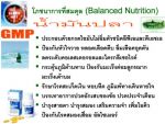 น้ำมันปลา วิน ฟิช ออย 1000(WIN FISH OIL 1000)