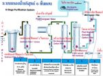 เครื่องกรองน้ำอาร์โอ ไบโอเพียว เคน1 (Bio Pure Ken1)