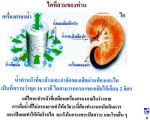 เครื่องกรองน้ำอาร์โอ ไบโอเพียว เคน1 (Bio Pure Ken1)