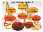กาแฟเอลคาเฟ่ ตองกัต อาลี (Elcafe Tongkat Ali Coffee) เพิ่มสมรรถภาพ