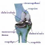 โรคข้อเสื่อม แก้ปัญหาด้วย  ดีเค จอยน์(DK join)