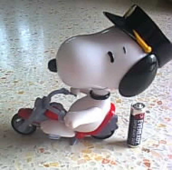 snoopyขี่ฮาเล่ย์