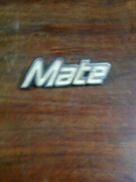 logo mate
