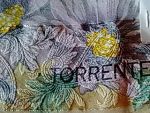 ผ้าพันคอ TORRENTE : PARIS