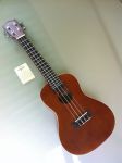 ขาย ukulele อูคูเลเล่ ถูกและดีที่สุดครับ