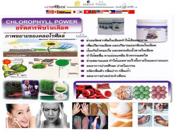 คลอโรฟิลล์ คลอโรฟิลล์